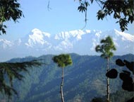 Binsar Sanctuary